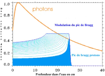 Figure 3 : Pic de Bragg : comparaison entre le dépôt d'énergie des photons (orange) et des protons (bleu)