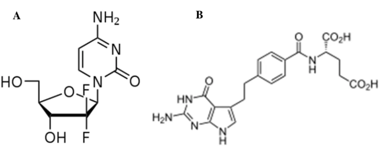 Figure 5 : Composition moléculaire de la gemcitabine (A) et du pemetrexed (B) 