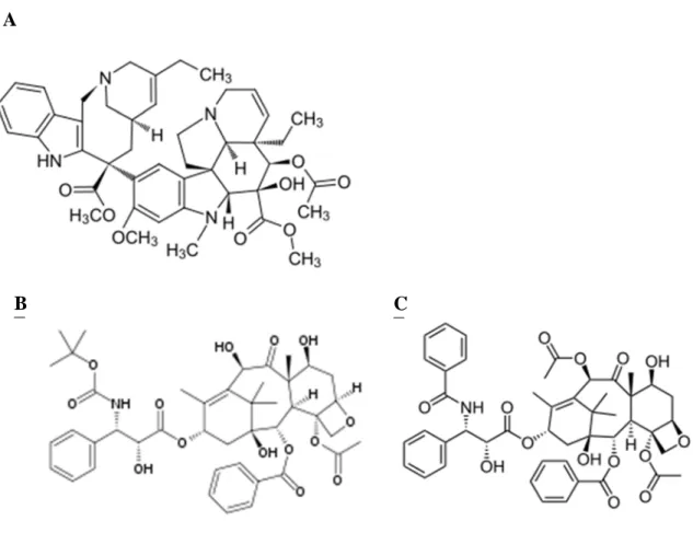 Figure  6 :  Composition  moléculaire  de  la  vinorelbine  (A),  du  docetaxel  (B)  et  du  paclitaxel  (C) 