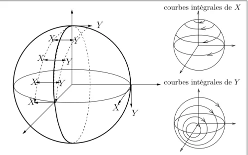 Figure 4.1 – Exemple de structure presque riemannienne trivialisable sans points de tangence sur une sphère.