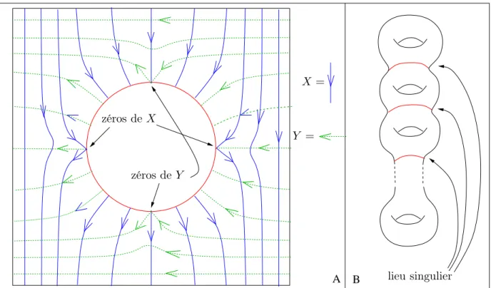 Figure 4.2 – Exemple de structure presque riemannienne trivialisable sans points de tangence sur la somme connexe de plusieurs tores.