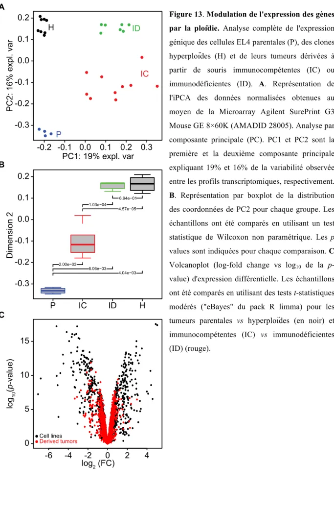 Figure 13. Modulation de l'expression des gènes  par  la  ploïdie.  Analyse  complète  de  l'expression  génique des cellules EL4 parentales (P), des clones  hyperploïdes  (H)  et  de  leurs  tumeurs  dérivées  à  partir  de  souris  immunocompétentes  (IC