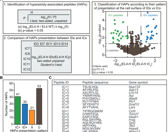 Figure 14. La ploïdie module l'immunopeptidome. A. 1, Méthode utilisée pour identifier et comparer  la quantité de peptides associés à l'hyperploïdie (HAP) par spectrométrie de masse quantitative à haut  débit