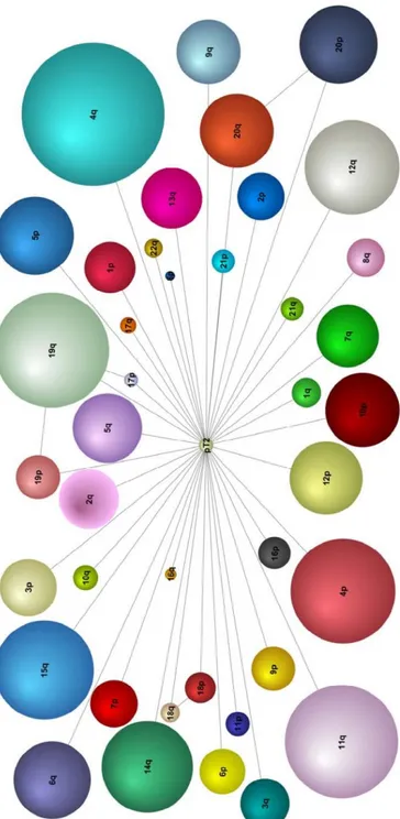 Figure 13 : Réseau Bayesien  mettant en évidence la relation entre altérations 