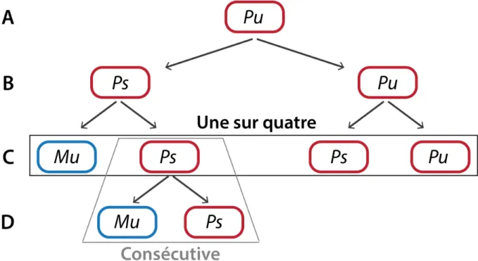 Figure 4 : Modèle du changement de type sexuel. 