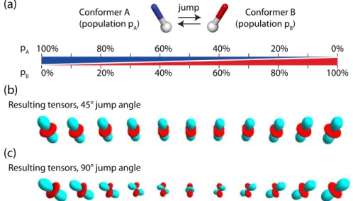 Figure  4.  The  effect  of  motion  on  the  dipolar  coupling  tensor,  shown  for  a  two-site  exchange  process