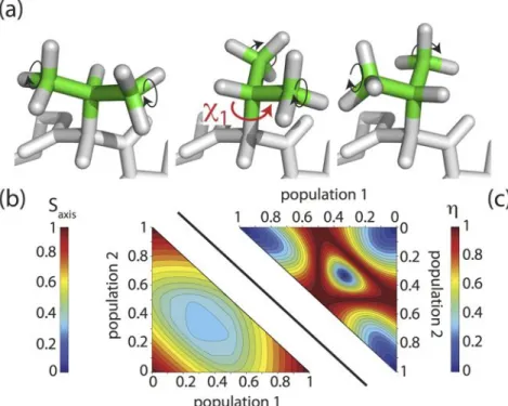 Figure 19. (a) Rotamer transitions in the valine side chain. Fast methyl rotations (black arrows) and jumps      