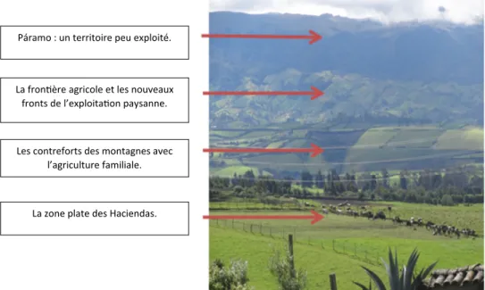 Fig. 3. Étages écologiques et paysage dans les cantons de Mont  ufar et Huaca. Source : auteurs.
