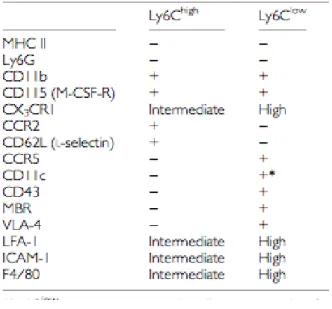 Tableau  V :  Profil  d’expression  de  protéines  membranaire  des  deux  sous  populations  monocytaires