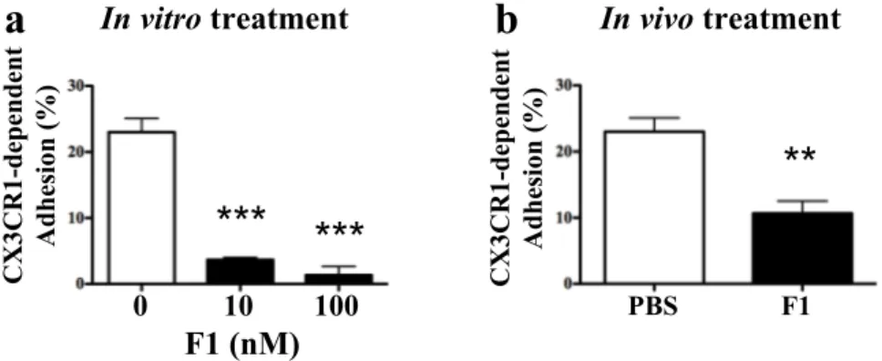 Figure 3 : Both in vitro and in vivo F1 treatments inhibit CX3CR1-dependent monocyte adhesion.