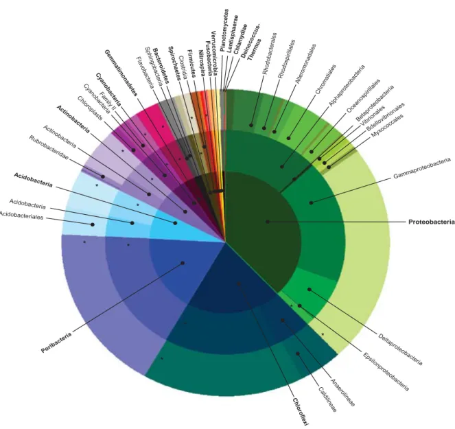 Figure 1 Bacterial richness in sponges. (a) Phylogenetic distribution of 97% OTUs on phylum (inner circle), class (middle circle) and order level (outer circle)