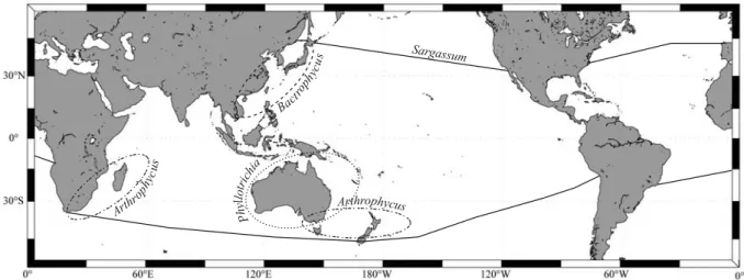 Fig. I.9. Carte de répartition mondiale des sous-genres du genre Sargassum d’après la littérature