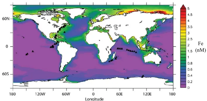 Figure 1: Carte annuelle de la concentration en fer dissous à la surface des océans (0- (0-100m) à partir de NEMO-PISCES (Toulza et al., 2012) 