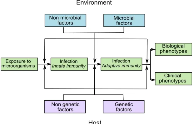 Figure 3.1: A schematic showing the stages of the hostenvironment interaction in the course of infection [60].