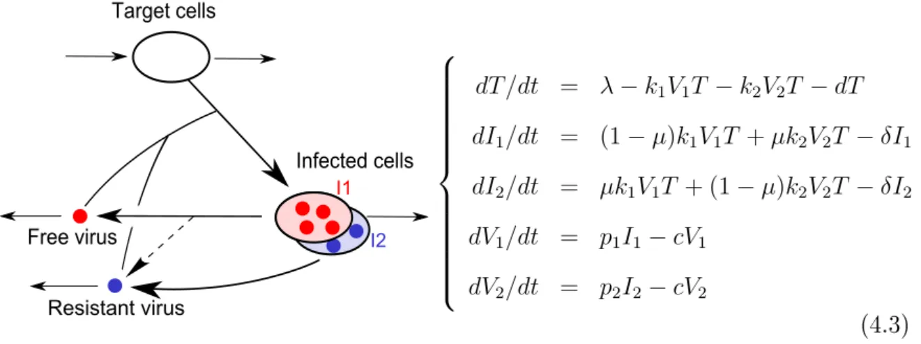 Table 4.1: Structure of the stochastic process