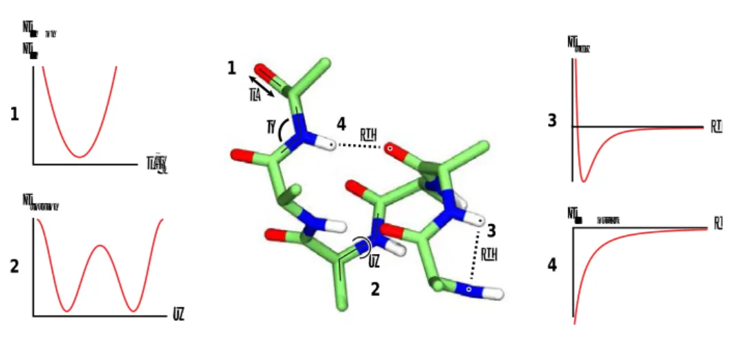 Figure I.9 – Potentiels des forces définies lors d’une dynamique moléculaire. 1. Potentiel harmonique (longueurs des liaisons, angles entre deux liaisons, angles de torsion impropres)