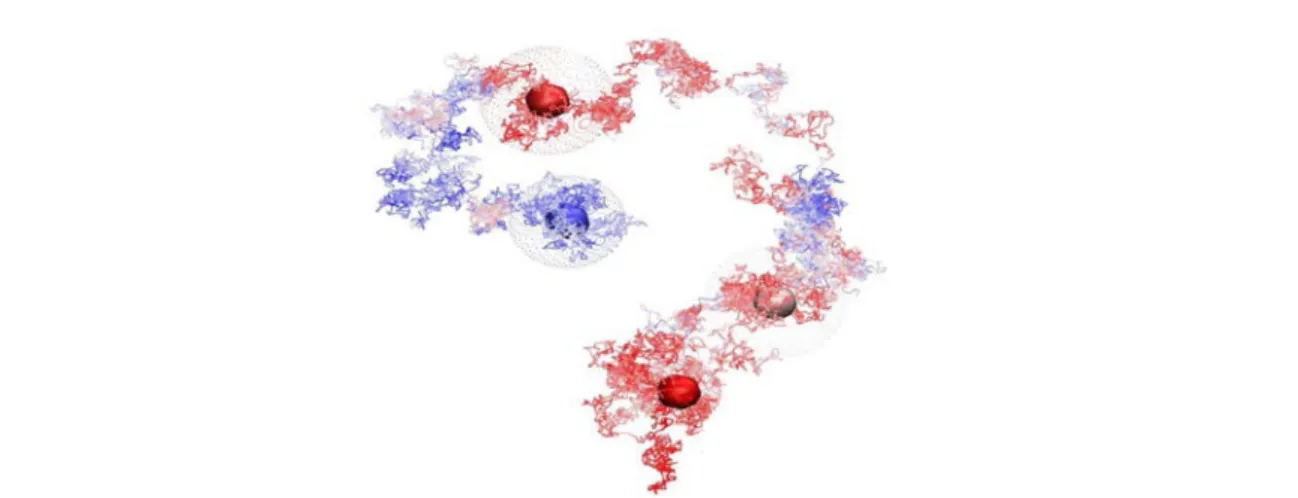 Figure I.18 – Projection de la trajectoire d’une poche sur ses 3 premières composantes principales.