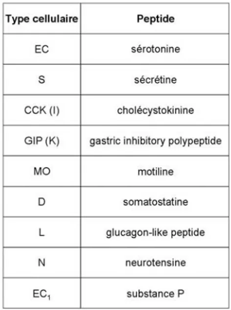 Table 1: Les différents types de cellules entéroendocrines et les peptides sécrétés