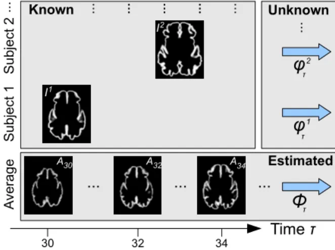 Figure 2.3: Estimation of the average spatio-temporal development of the cortex A τ , τ ∈ [τ init , τ end ] from segmented 3D images I s , s ∈ [1, 