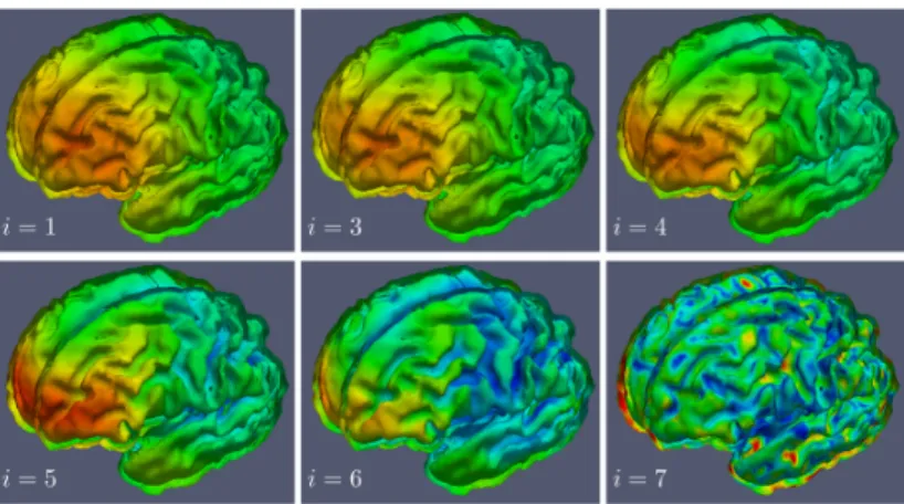 Figure 2.8: Representation of scale-dependent deformations ϕ i out of a defor- defor-mation ϕ obtained between two brain images using the method of [IJ-10]