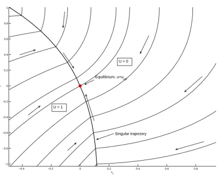 Figure 4.1 – Génération de toutes les trajectoires : intégration en temps rétro- rétro-grade depuis les points sur l’arc singulier