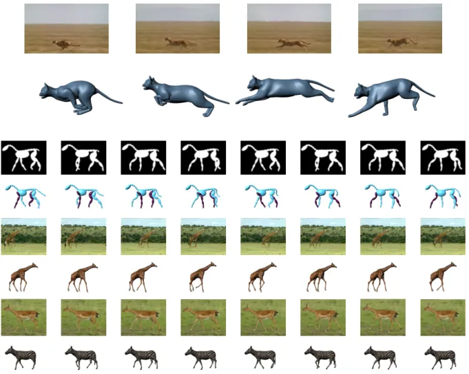 Figure 11: Selection of key images from video sequences.