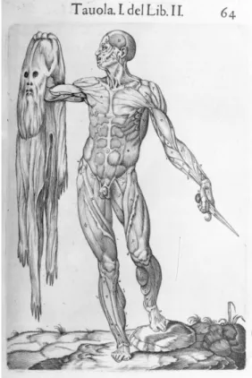 Fig. 2 : Juan Valverde, Anatomia del corpo humano (Rome, 1560), p. 64. 