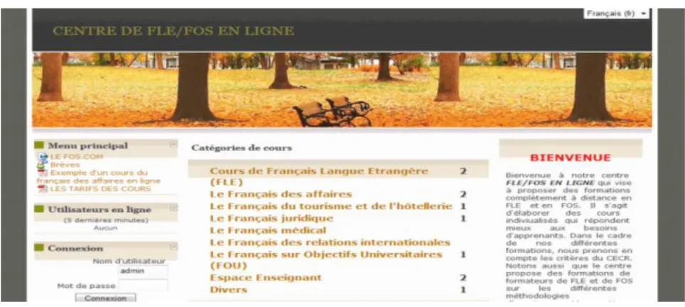 Figure 13 : Le centre de FLE/FOS en ligne 