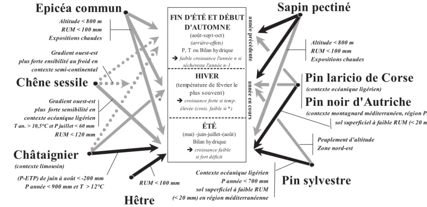 Figure 7. Synthèse du déterminisme climatique de la variabilité interannuelle de la croissance de cinq espèces forestières françaises