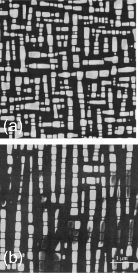 Figure 3.15: Microstructure simul´ee (a) et r´eelle (b) d’un alliage Ni-Al pr´esentant des domaines ordonn´es L1 2 de phase γ $ 19 .