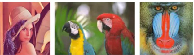 Fig. 2. The test images, from left to right, Lenna, Macaws and Mandrill.