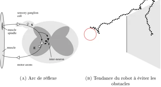Fig. 2.3  Modèle proposé et performanes (tiré du papier publié à ALIFE &amp; Robotis,