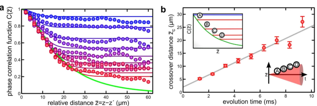 Figure 2.3: Local emergence of thermal correlations in a light-cone-like evolution (adapted from [42])