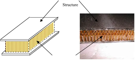 Figure 1. Structure sandwich à peaux de carbone-époxy et âme nids d’abeilles Nomex®