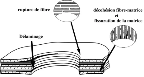 Figure 2. Modes de rupture et front de délaminage I.2.2  La dégradation des âmes nids d’abeilles Nomex®
