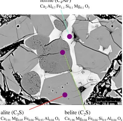 Figure  8:  Image  SEM-BSE  d’une  surface  polie  d’un  ciment  Portland  résistant  aux  sulfates  [Th1]