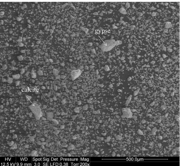 Figure 10: Image MEB d’un ciment Portland. 