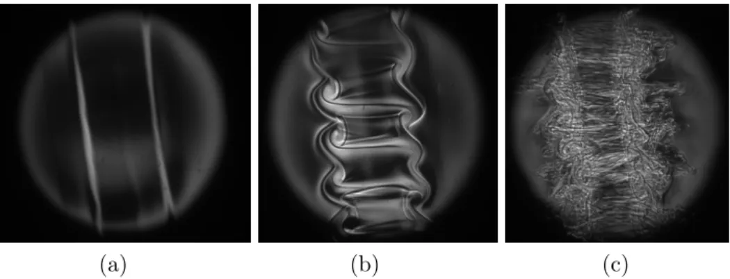 Fig. 2 – Visualisation par ombroscopie de l’instabilit´ e d’un vortex inclin´ e par rapport ` a une stratification ambiante du fluide