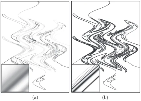 Fig. 9 – Simulation num´ erique d’un filament de scalaire advect´ e par un