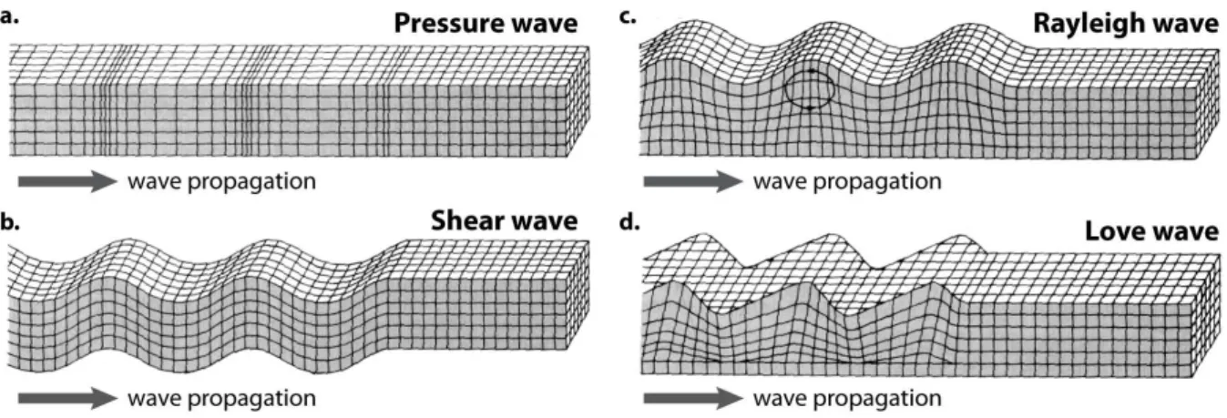 Figure 1.1 : Déplacement des particules d’un milieu à travers lequel se propagent les ondes de volume ((a) compression et (b) cisaillement) et les ondes de surface ((c) Love et (d) Rayleigh).