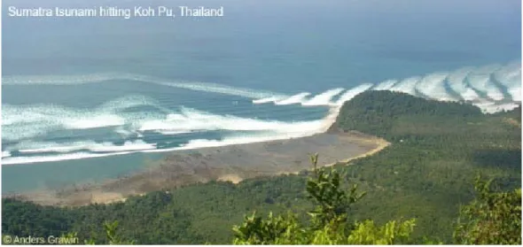 Figure 5 Le tsunami du 26 décembre 2004 touchant la pointe de Koh Pu, Thaïlande