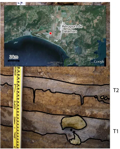 Figure 8 : Dépôts de tsunamis (T1 et T2) observés à Dalaman (Turquie) (photo : J. Roger, 2007)