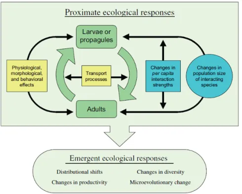 Figure  4.  Réponses écologiques potentielles face au changement climatique. D’après Harley  et al