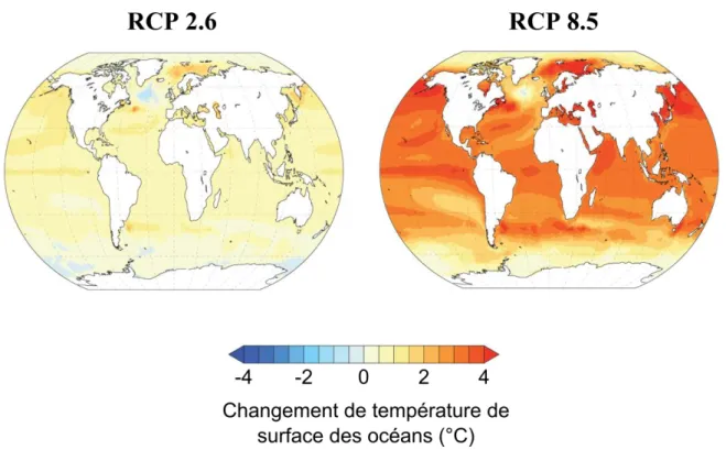Figure  5.  Cartes  présentant  les  changements  de  la  température  océaniques  de  surface  (°C)  attendus  au  cours  du  XXI ème   siècle  d’après  les  scénarios  favorable  (RCP  2.6)  et  pessimiste  (RCP 8.5) émis par le GIEC par rapport aux vale
