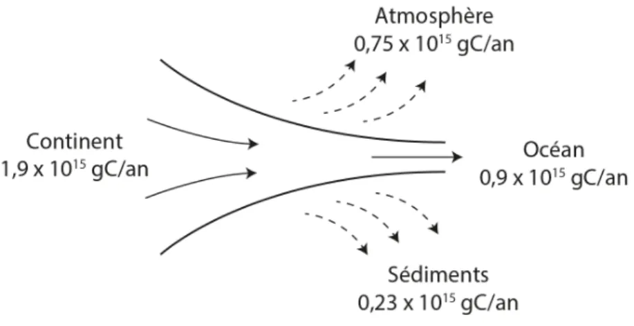 Figure  6 :  Bilan  de  carbone  dans  les  eaux  continentales  et  flux  vers  l’atmosphère  et  les  sédiments,  d’après Cole et al