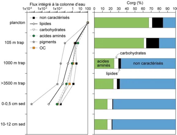 Figure  2-1.  Flux  de  C org   et  des  classes  de  différents  composés  organiques  rapportés  à  la  production  planctonique  initiale  de  surface  en  mmol  C org 