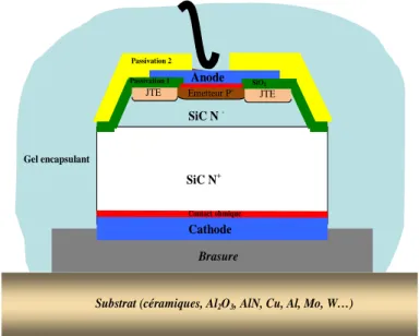 Fig. II.3.1 : Structure d'une diode PiN de puissance en SiC 
