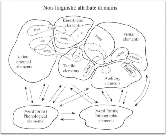 Figure  1  –  Modèle  distributionnel  de  la  représentation  des  traits  sémantiques  (Allport  1985,  reproduit dans Saffran &amp; Sholl 1999 : 249)