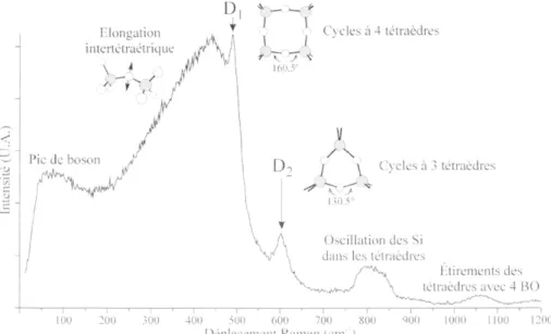 Fig.  2 :  Spectre Raman d'une silice pure montrant les différentes vibrations  d'un réseau vitreux de SiO4 (modifié d'après Champagnon et al.,  2000)