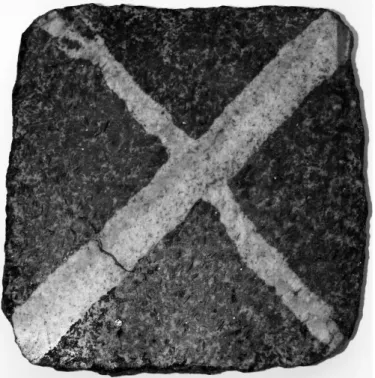 Fig.  1.  Plaque  polie  de  granite  de  Saxe  avec  filons  de  quartz  entrecroisés  (20  x  20 cm),  offerte par  A